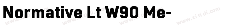 Normative Lt W90 Me字体转换